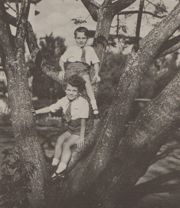 Prince Karim and Prince Amyn at play on a tree