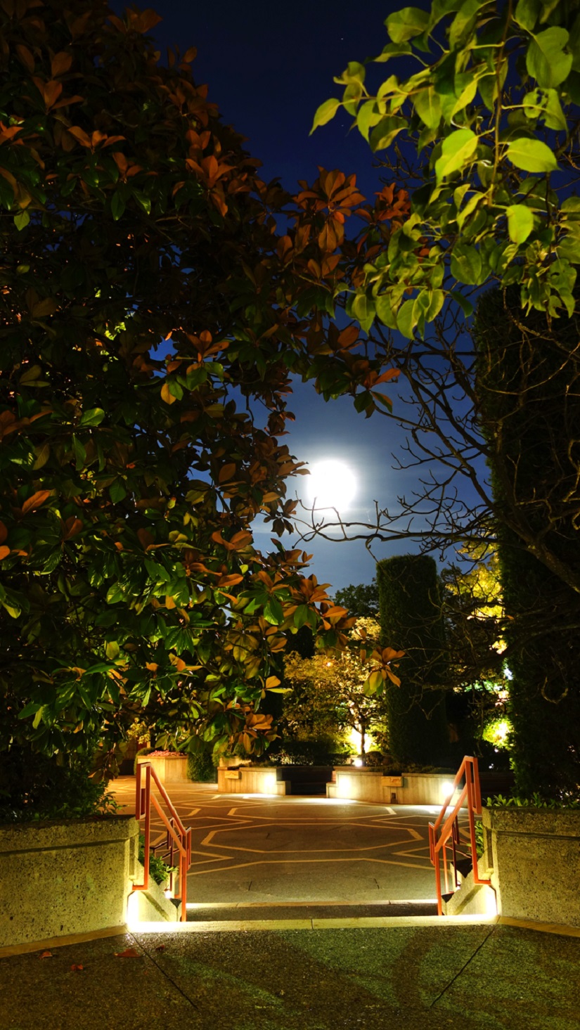 Mohib Ebrahim 01 Burnaby Ismaili jamatkhana and Centre