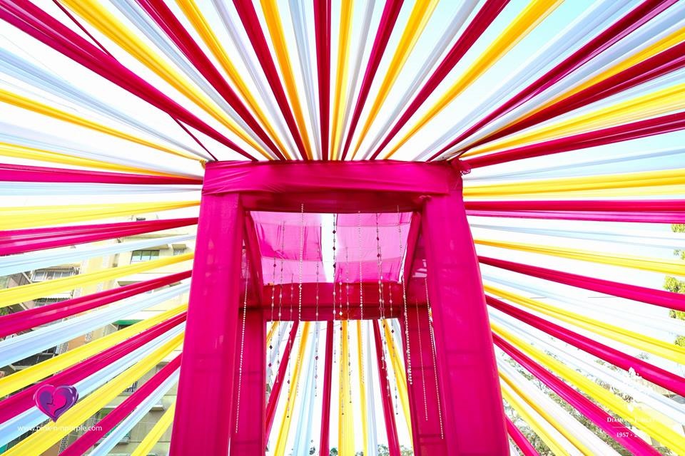 Aga Khan Diamond Jubilee India Celebration_Pink n Purple Photo 018