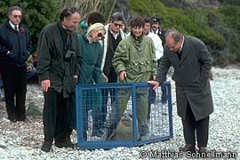 Prince Sadruddin Release of Orphaned Monk Seal