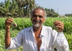 A happy, elderly man holds two vegetables in his hands, smiling broadly in a lush, green field.