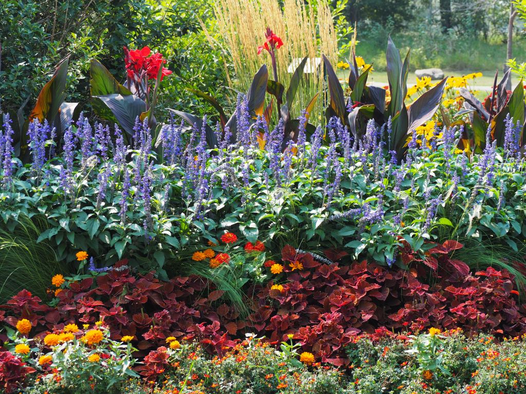 Carburn Park Calgary, Barakah, Prince Rahim Aga Khan birthday tribute