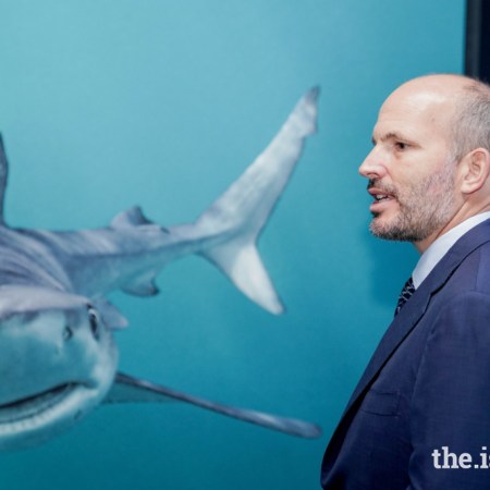 Prince Hussain Aga Khan The living Sea in Bahrain, Barakah, News