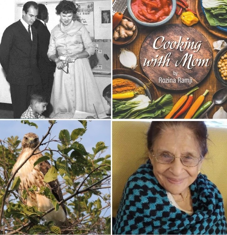 Simerg and Simergphotos