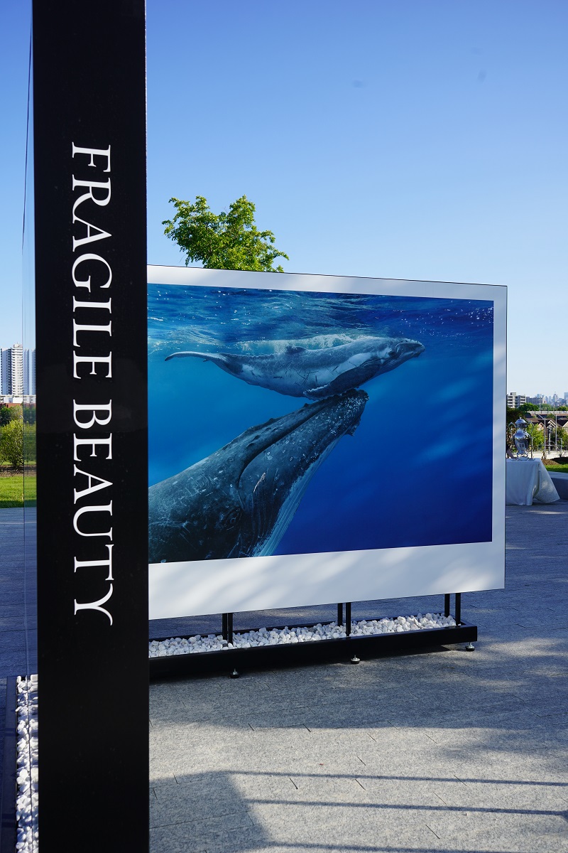 Hussain Aga Khan The Living Sea