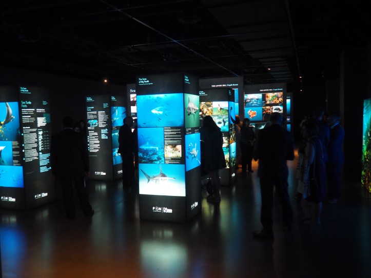 , Barakah, The Edison