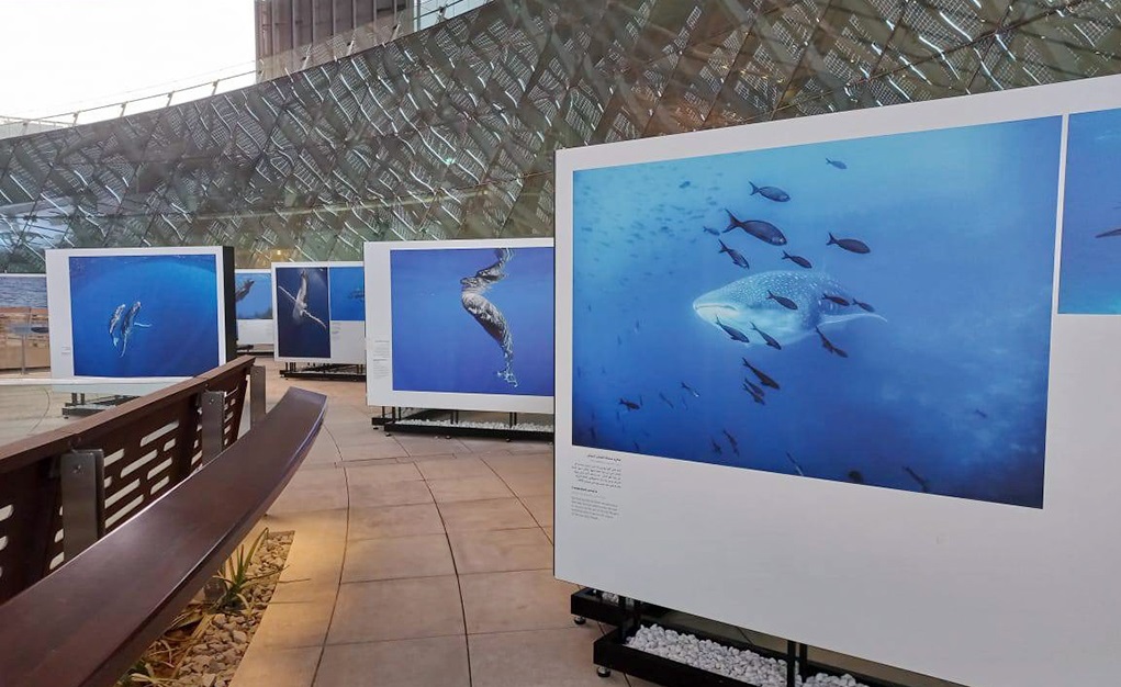 Hussain Aga Khan at COP28, Barakah