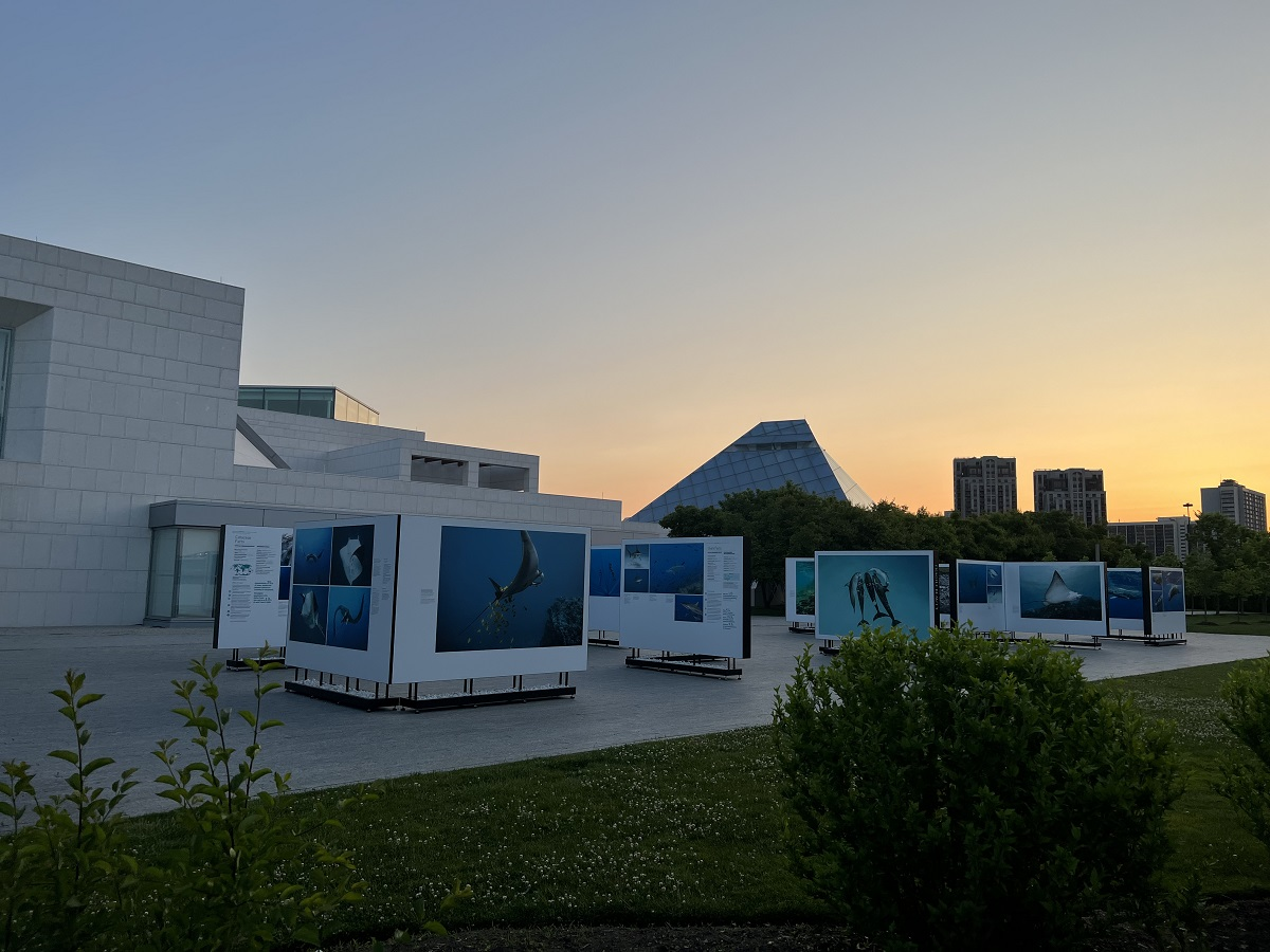 The Living Sea -- Fragile Beauty: Photographs by Prince Hussain Aga Khan displayed in the patio of the Ismaili Centre Toronto