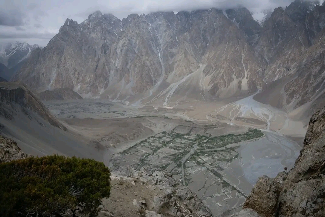 Passu view